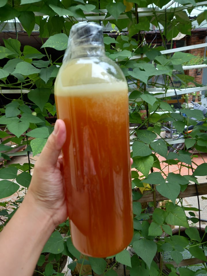 Mật ong rừng Gia Lai