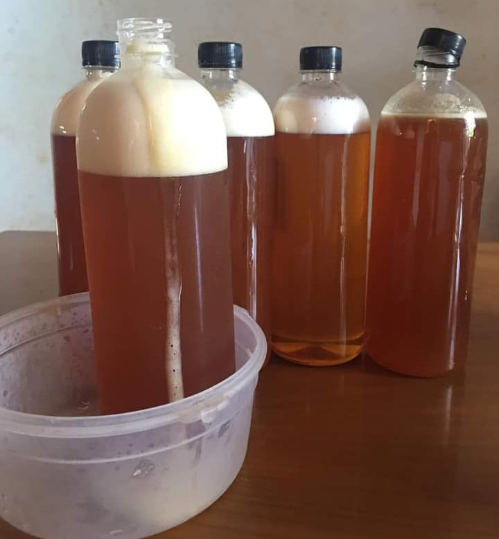 Mật ong rừng Gia Lai